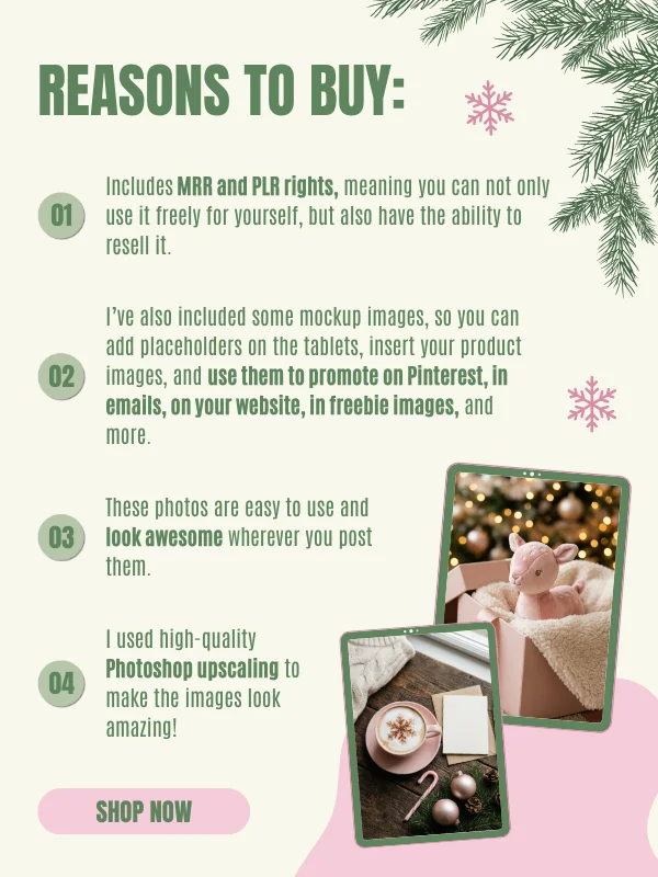MRR/PLR Christmas Stock Photos product image (8)