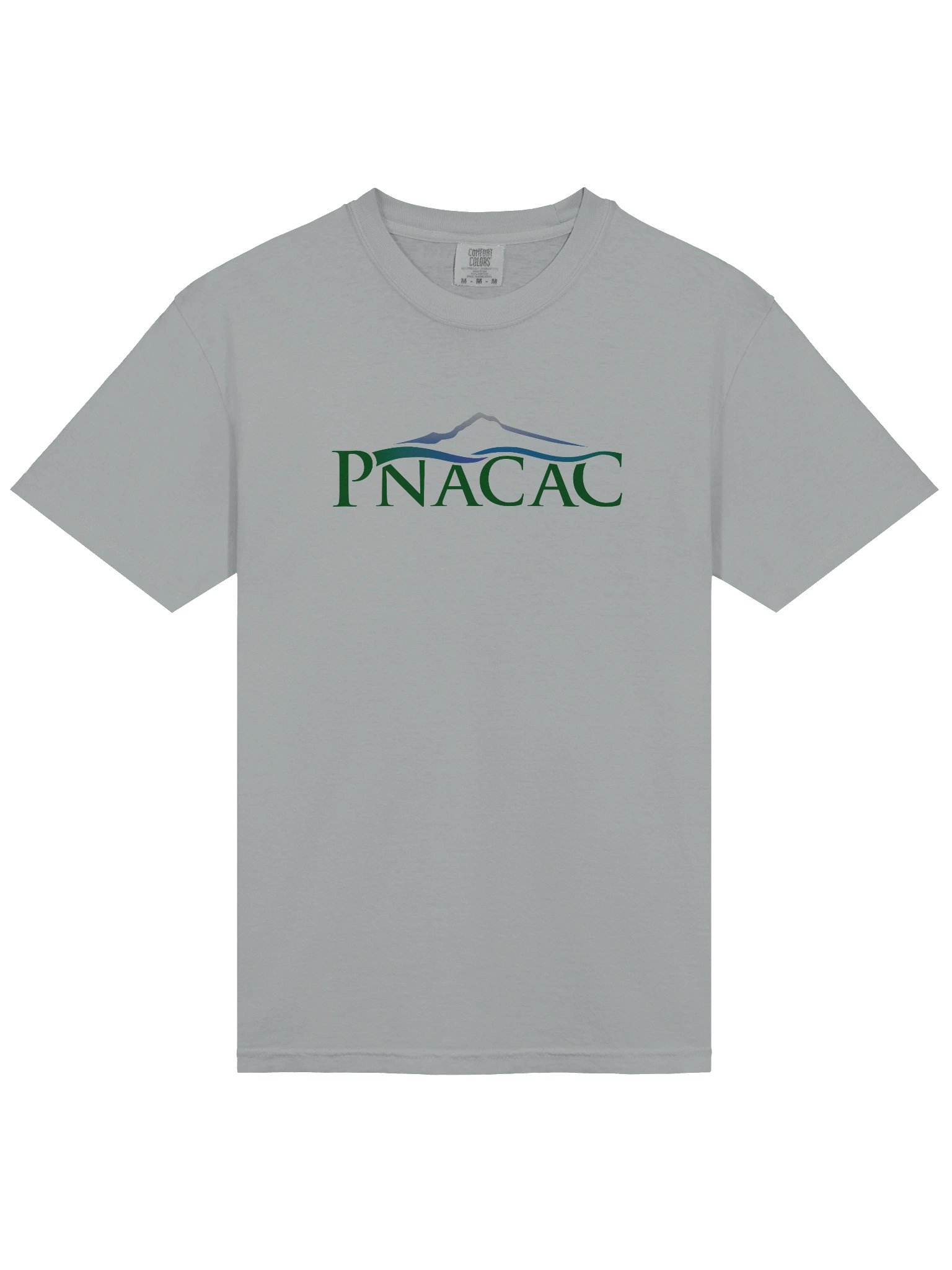 Heavyweight Tee - Color Logo product image (13)