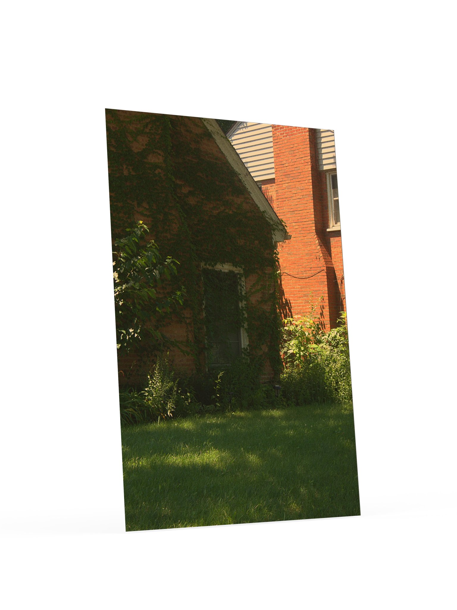 overgrown product image (4)
