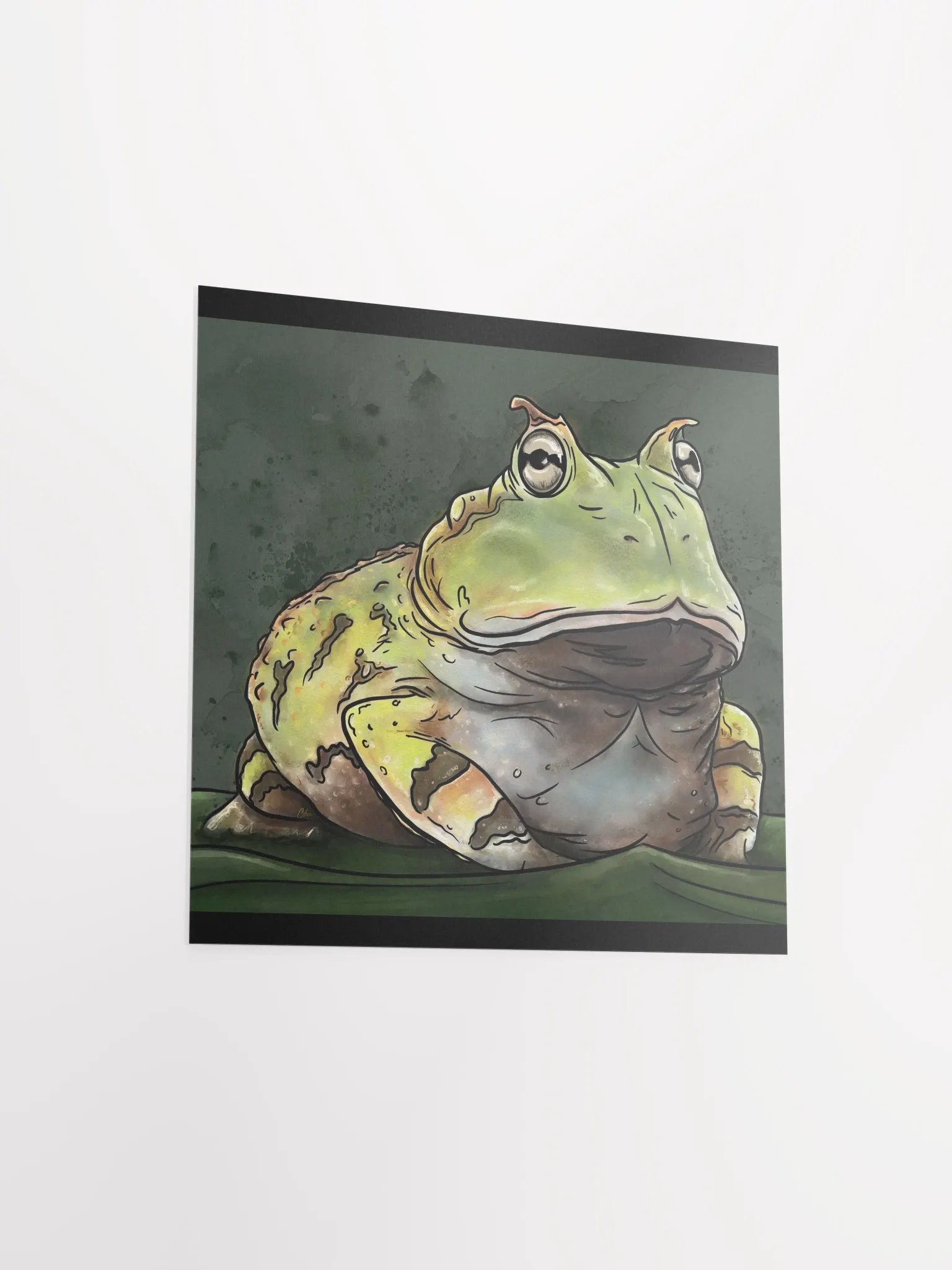 FatFwog product image (12)