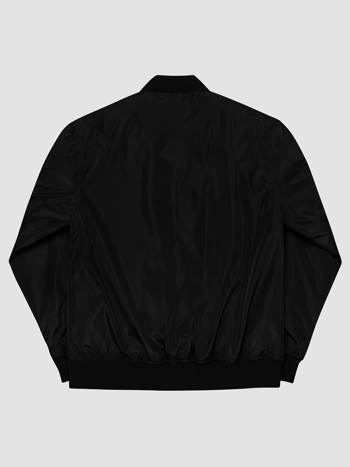 DEAD BY DEVS | Threadfast Apparel Premium Recycled Bomber Threadfast Apparel TA395J product image (2)