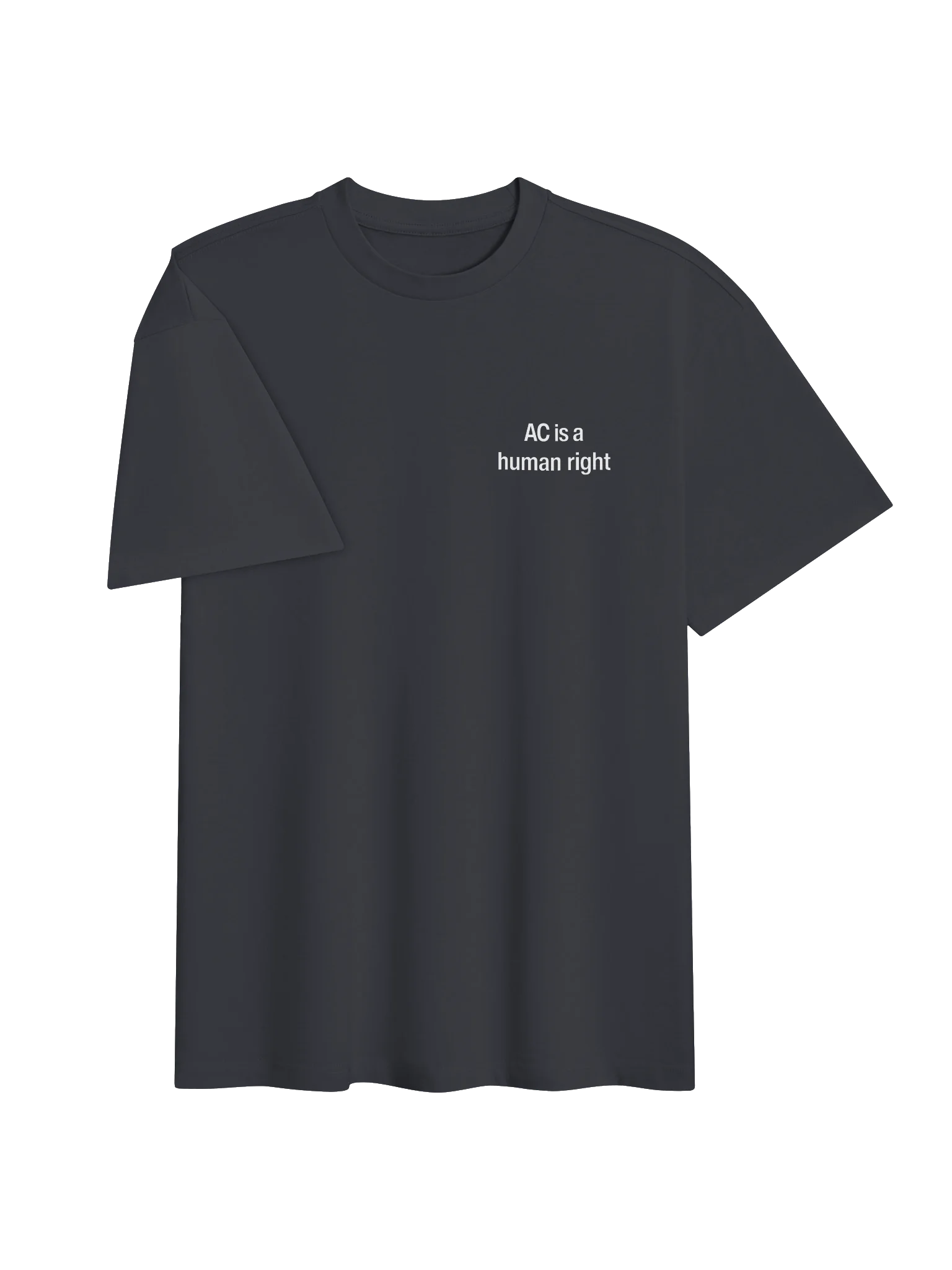 AC Is a Human Right Oversized Tee product image (5)