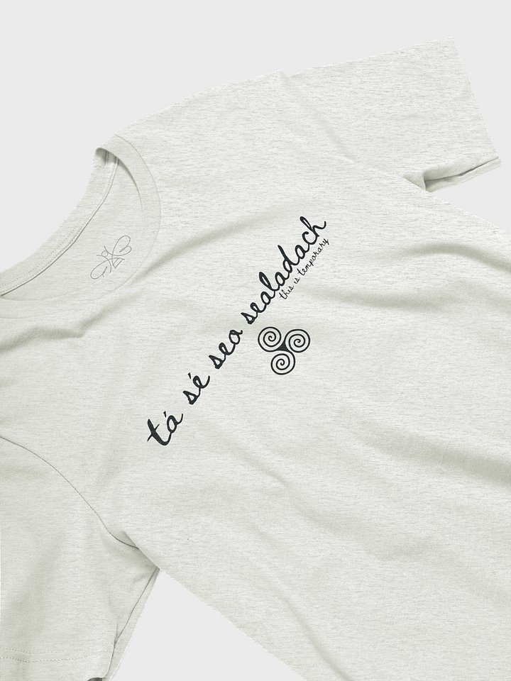 Tá Sé Seo Sealadach (This is Temporary) T-shirt Light Colors product image (2)
