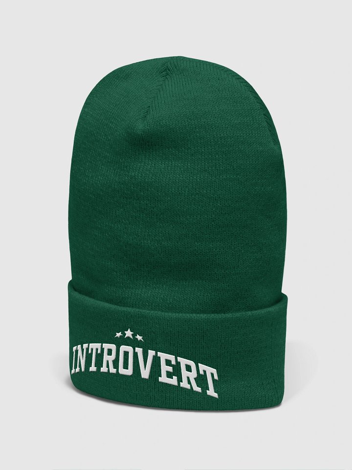 Introvert (Yupoong Cuffed Beanie) product image (37)