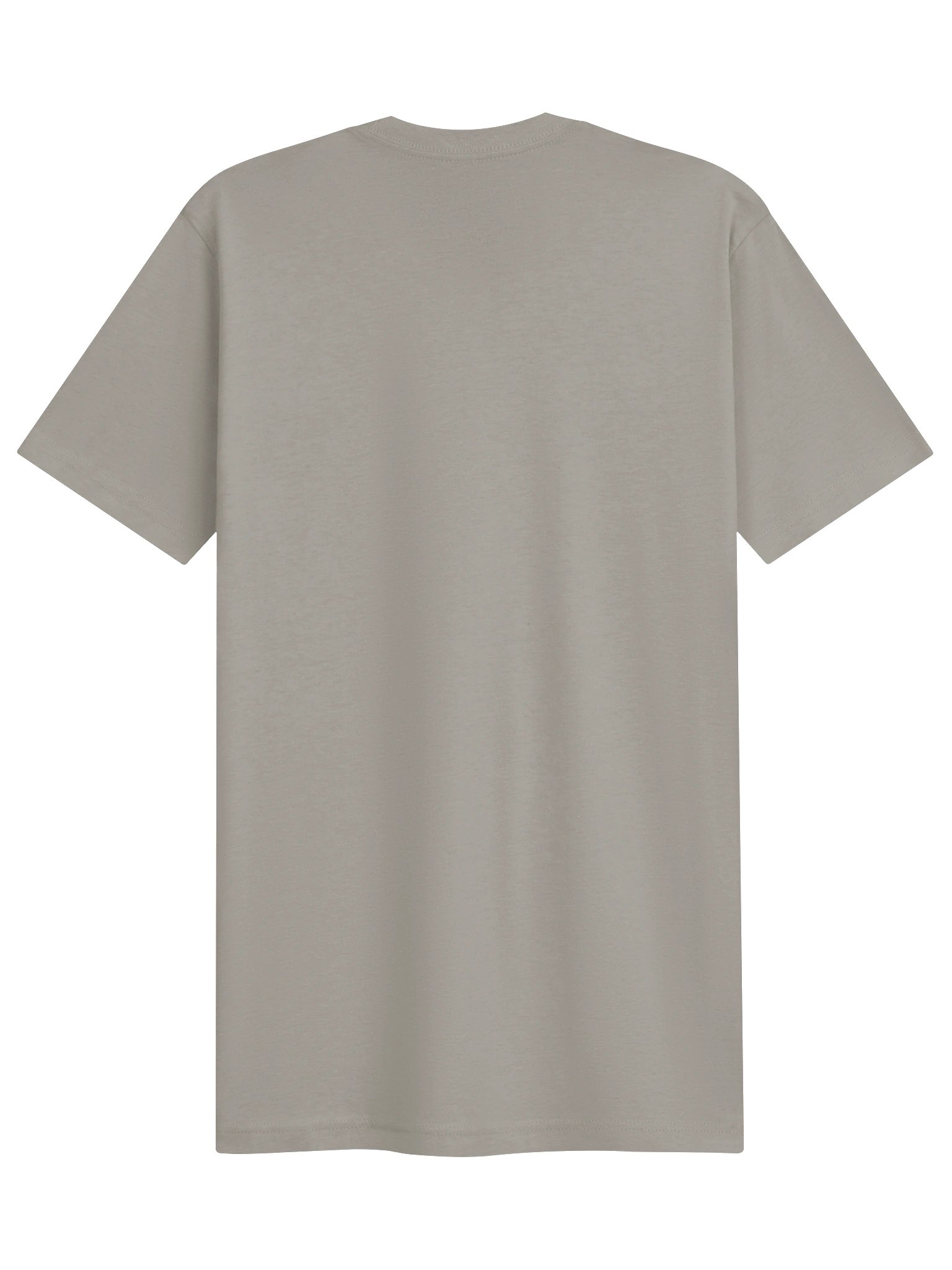 Hangdown - Next Level Unisex 6210 product image (8)