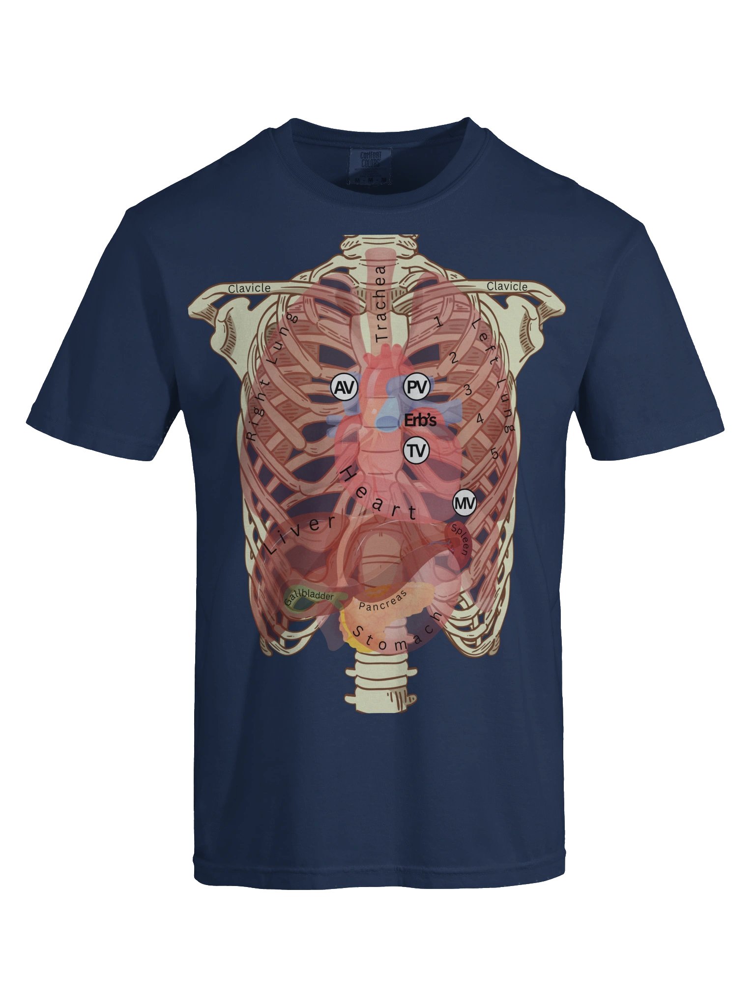 Heart Auscultation Points Anatomy Shirt | Internal Organs & Body Anatomy T-Shirt for Nursing Students by Nurse Sarah ® product image (60)
