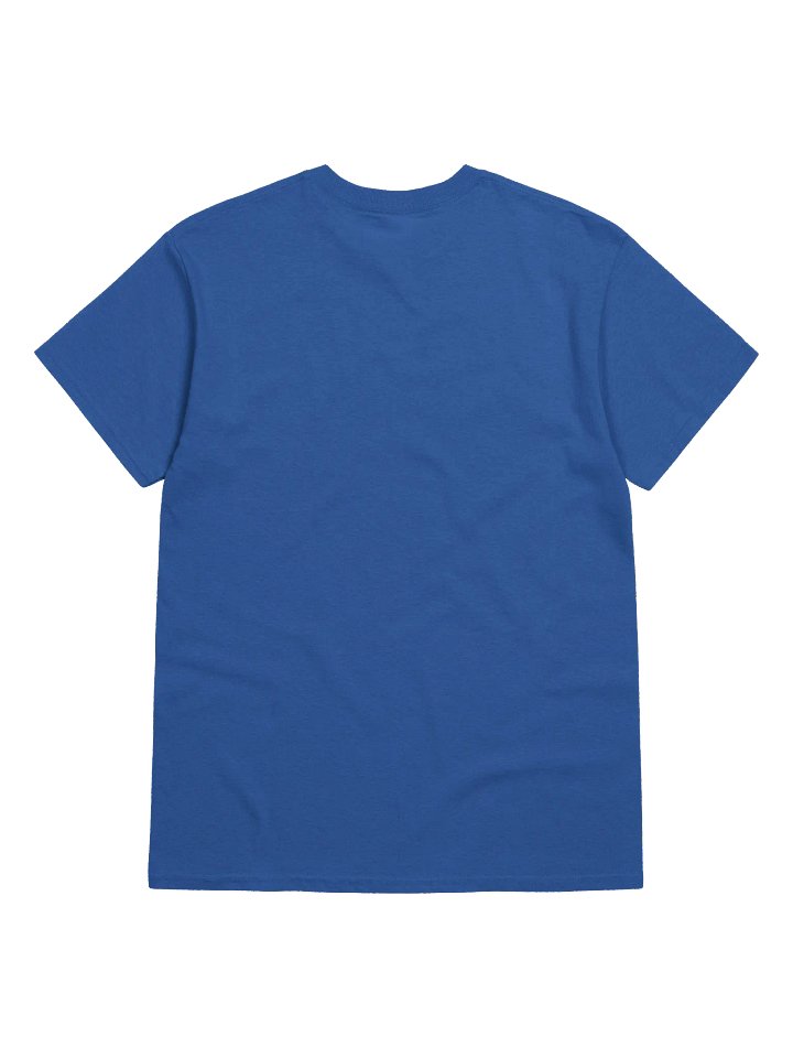 Banned in Florida T-Shirt product image (32)