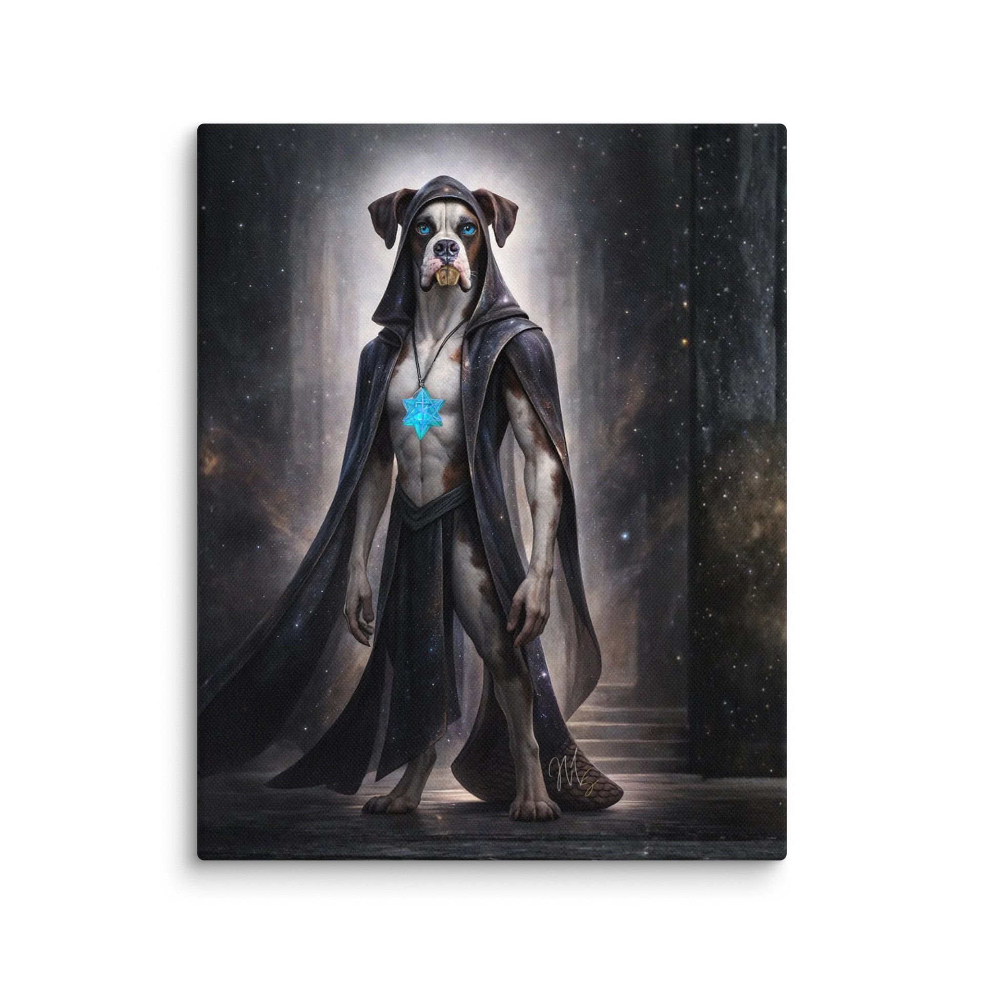 Barique Star-Code Achitect Canvas product image (1)
