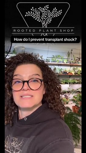 Someone asked me how I prevent transplant shock, and my answer was pretty simple: I don’t mess with a healthy root system if ...