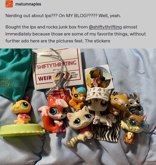 LPS and Rocks Junk Box product image (3)