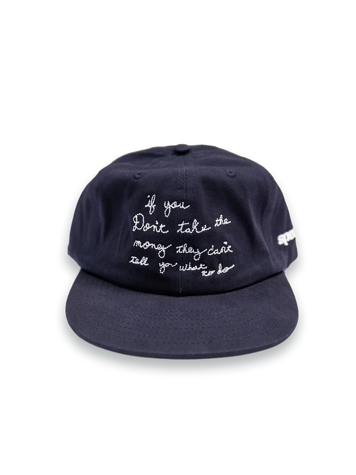 Don't Take the Money Hat product image (1)
