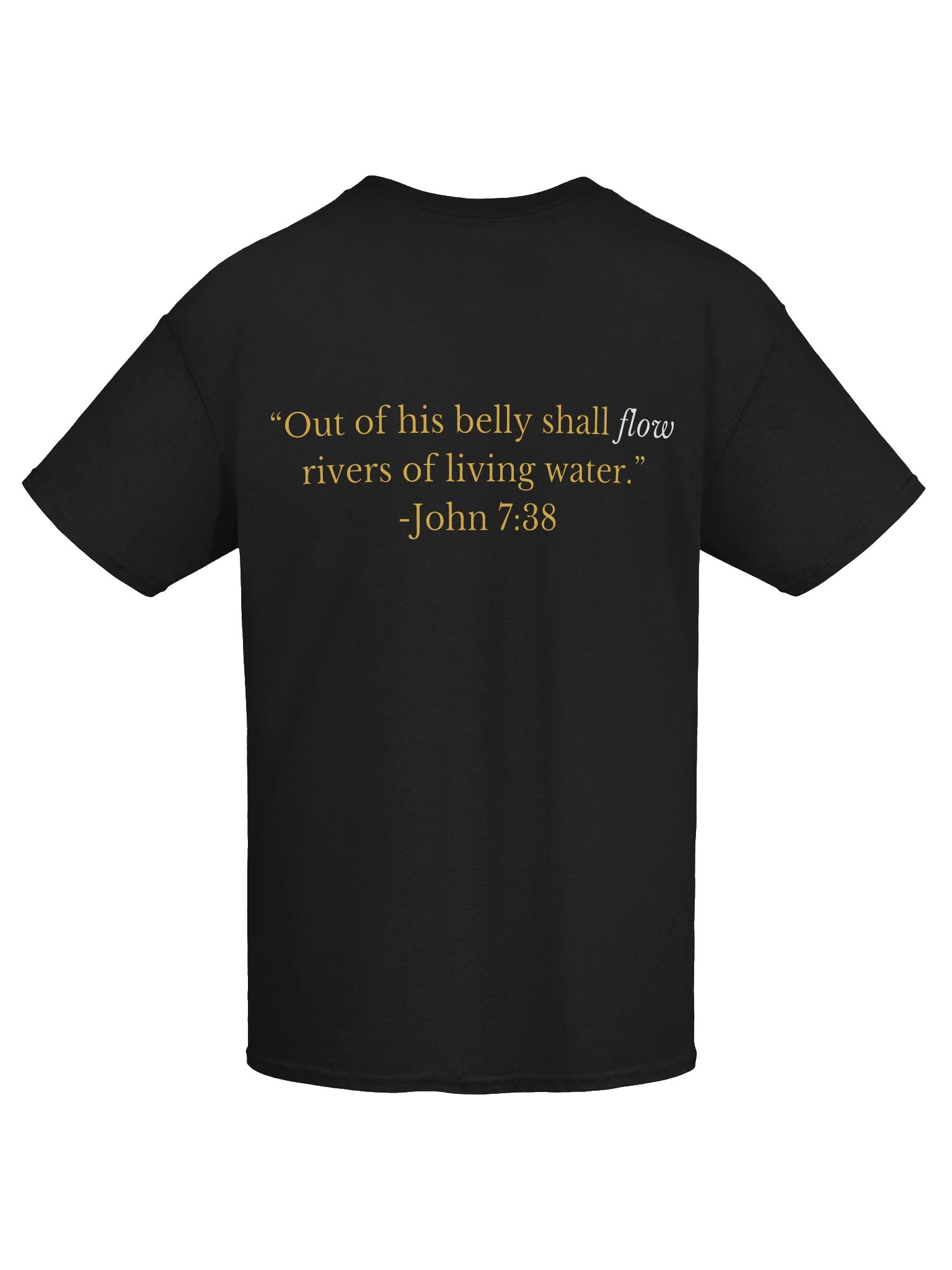 FLOW Worship Experience Tee product image (25)