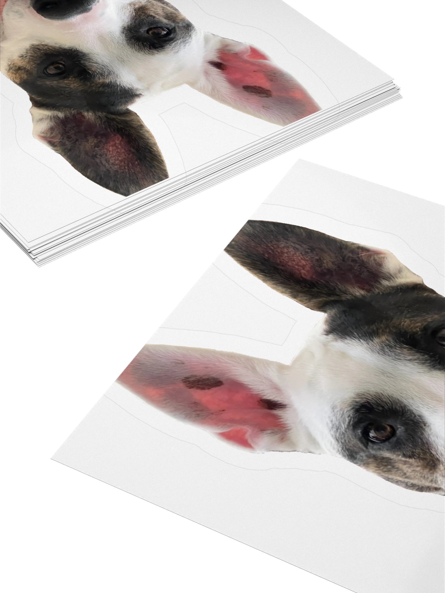 Sagey Sticker product image (10)