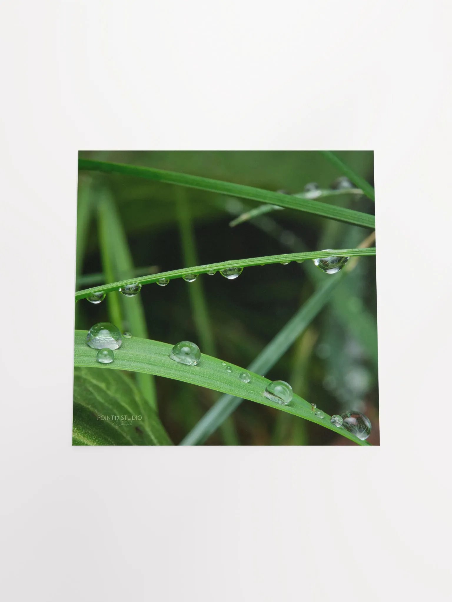 Dew Gems #9 - Print product image (10)