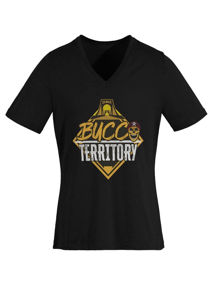 Women's V-Neck T-Shirt product image (1)