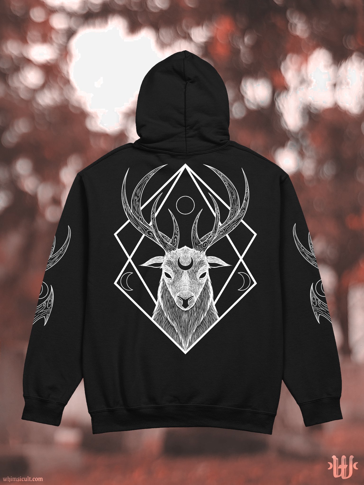 Lunaris Hoodie product image (1)