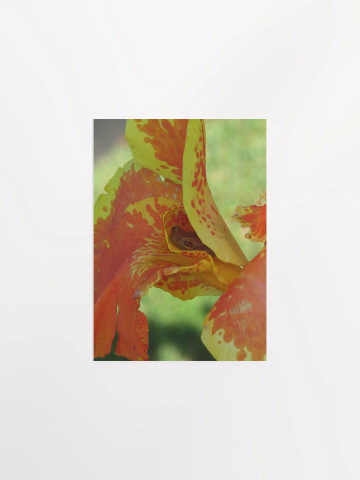 The Frog n' The Flower product image (11)