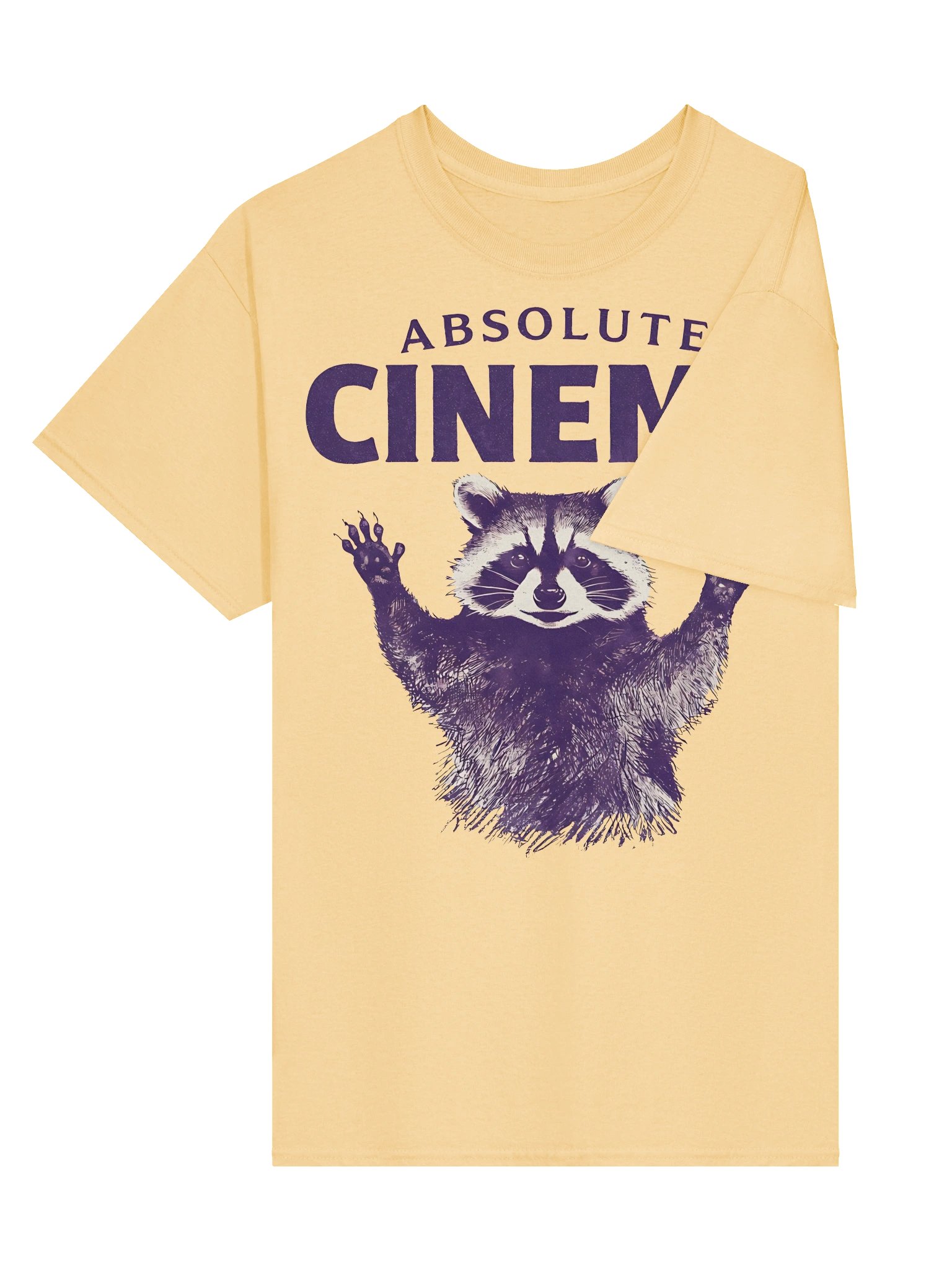 Absolute Cinema Raccoon Meme Graphic T-Shirt product image (3)