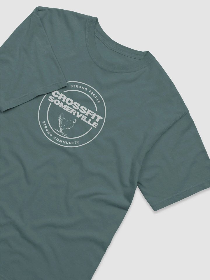 CFSV Classic T-Shirt (Comfort Colors) product image (1)