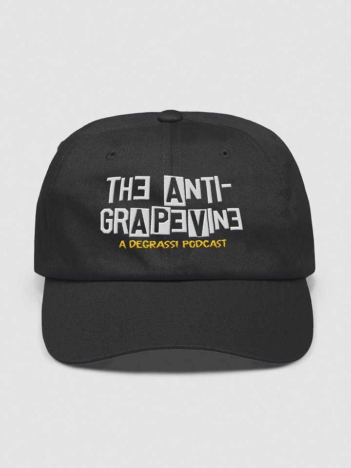 Anti-Grapevine Original Logo Hat product image (2)
