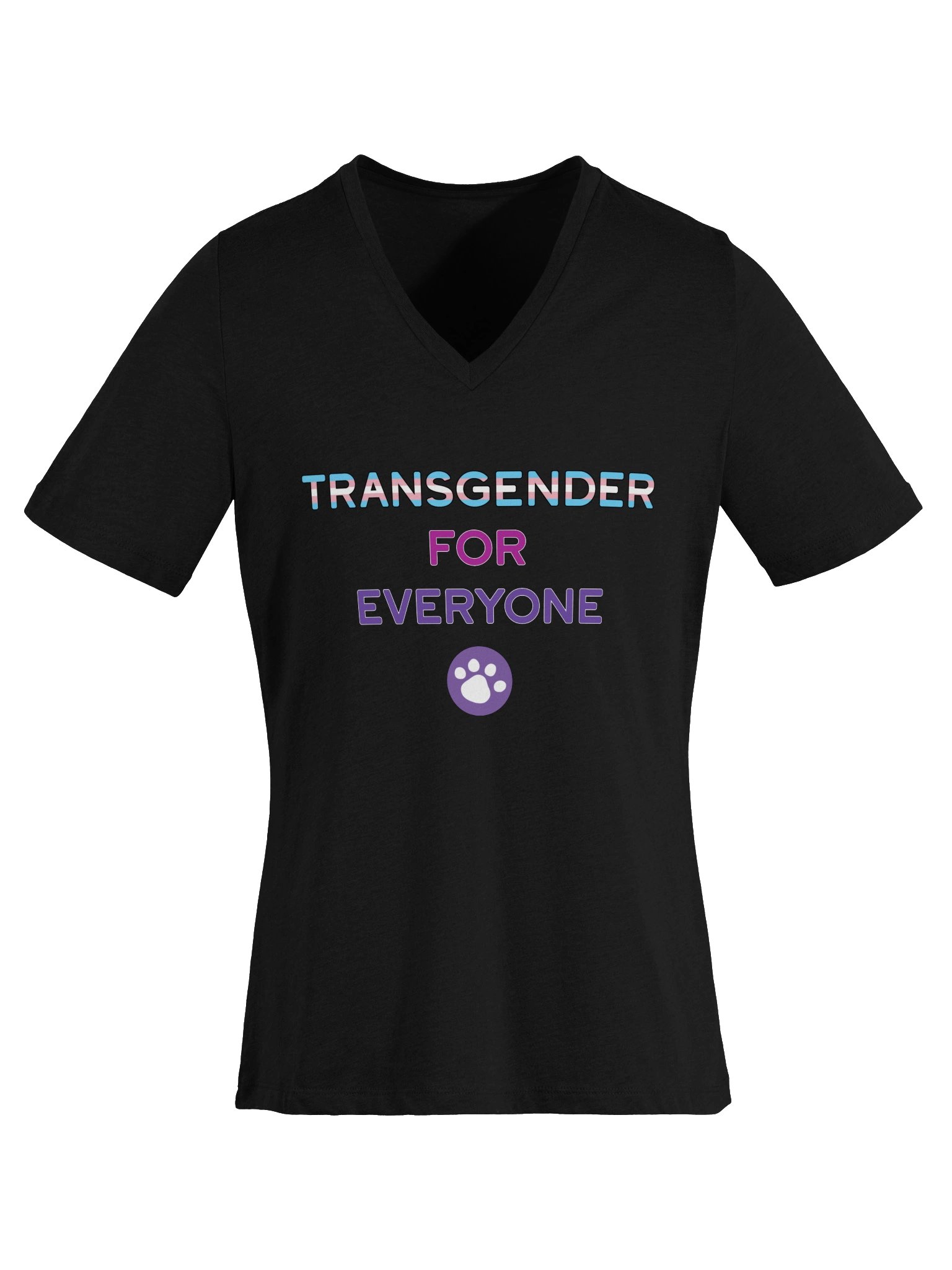 Transgender for Everyone Women's V-Neck product image (21)