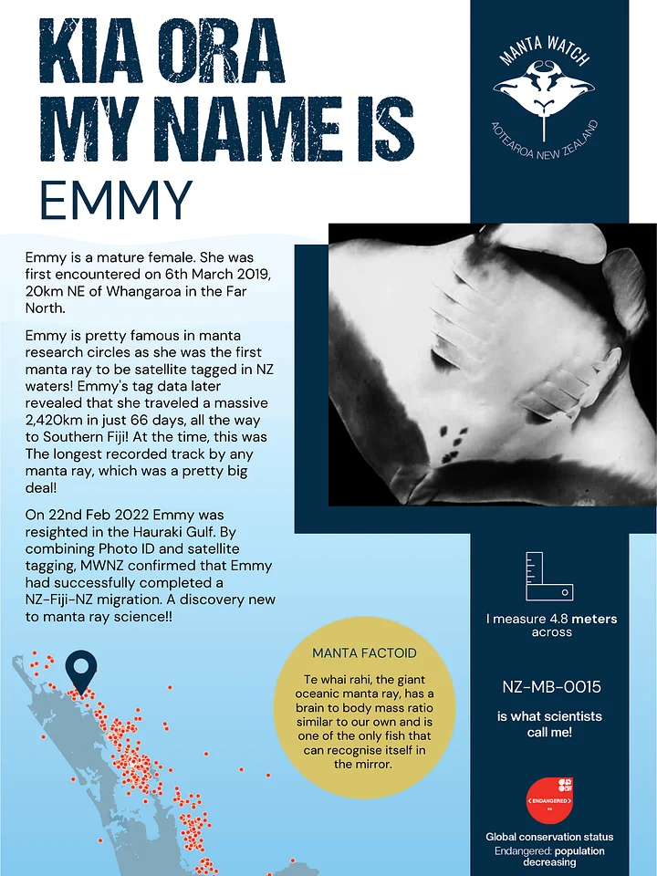 Emmy - Adopt A Manta Pack product image (1)