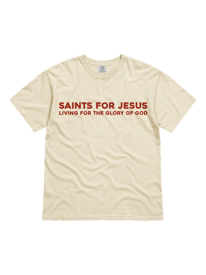 The Gospel T-Shirt product image (2)