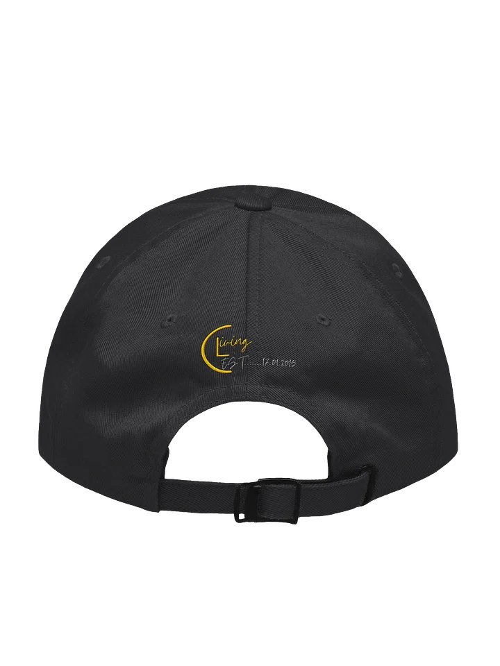 Clean Living Logo Dad Hat product image (2)