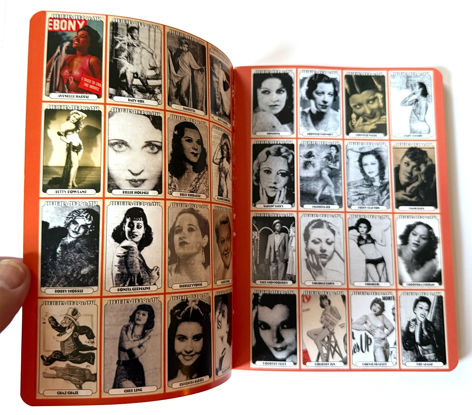 Stripteasers Journal (Blank) product image (5)