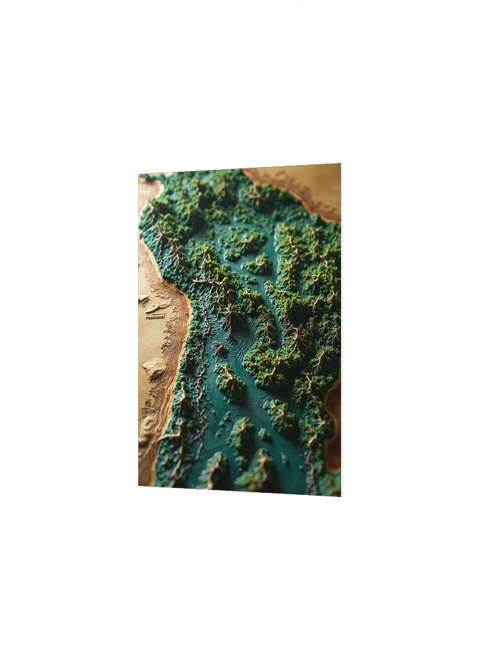 The Amazon Basin: Biophilic 3D Relief Map of the Green Heart product image (14)