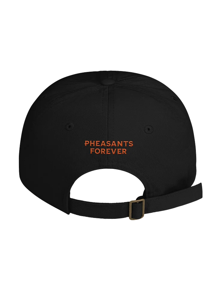 BFPF Font Dad Cap product image (2)
