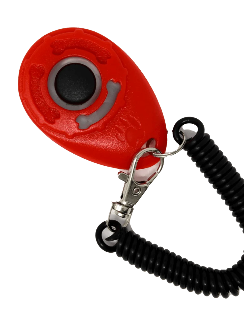 Cat Training Clicker - Assorted Colours product image (1)
