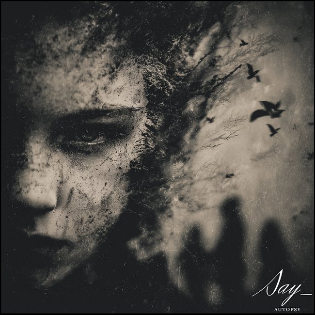 # DOSSIER PERDU 2 : ARCHIVES VISCÉRALES