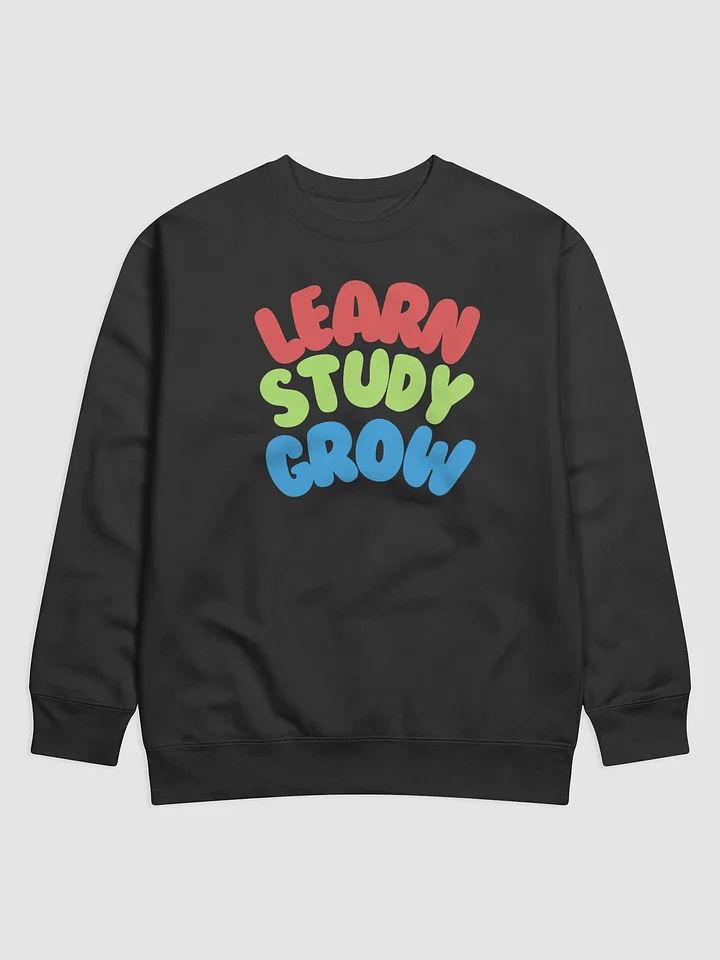 WTSBR Sweatshirt product image (1)