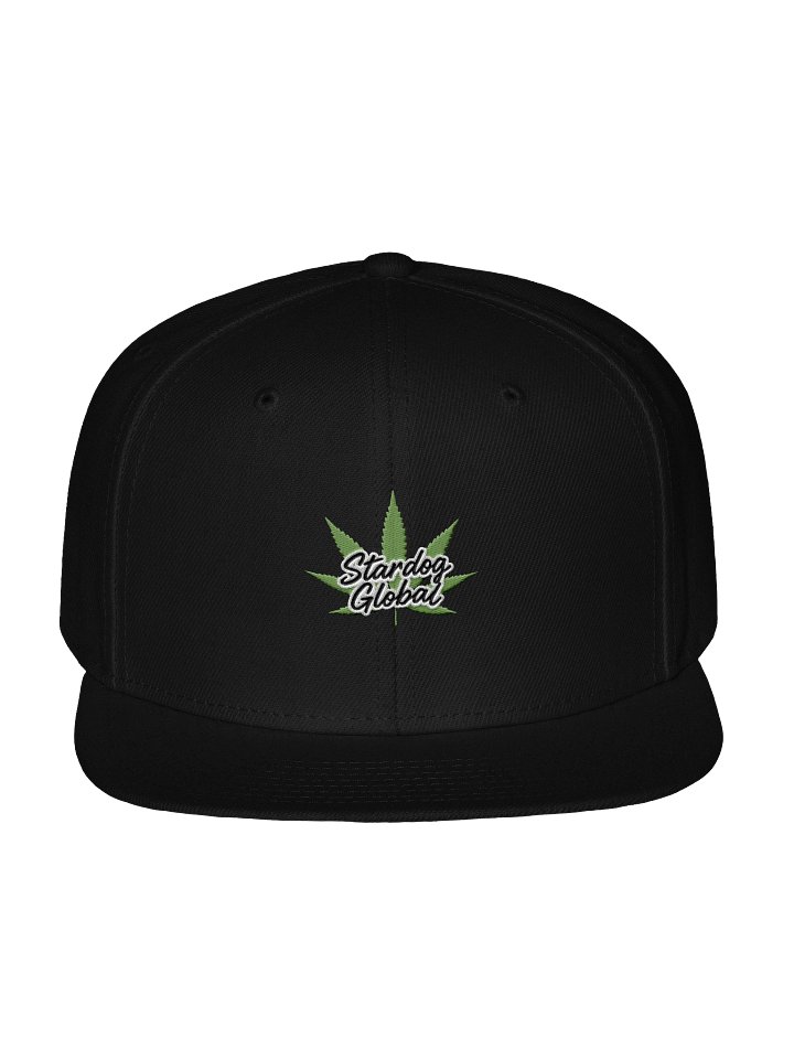 Stardog Global Leaf Snapback Cap product image (2)