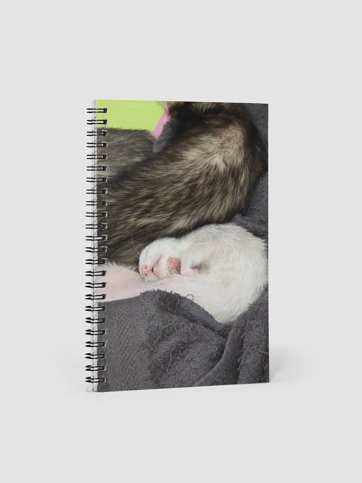 Cici Notebook product image (1)