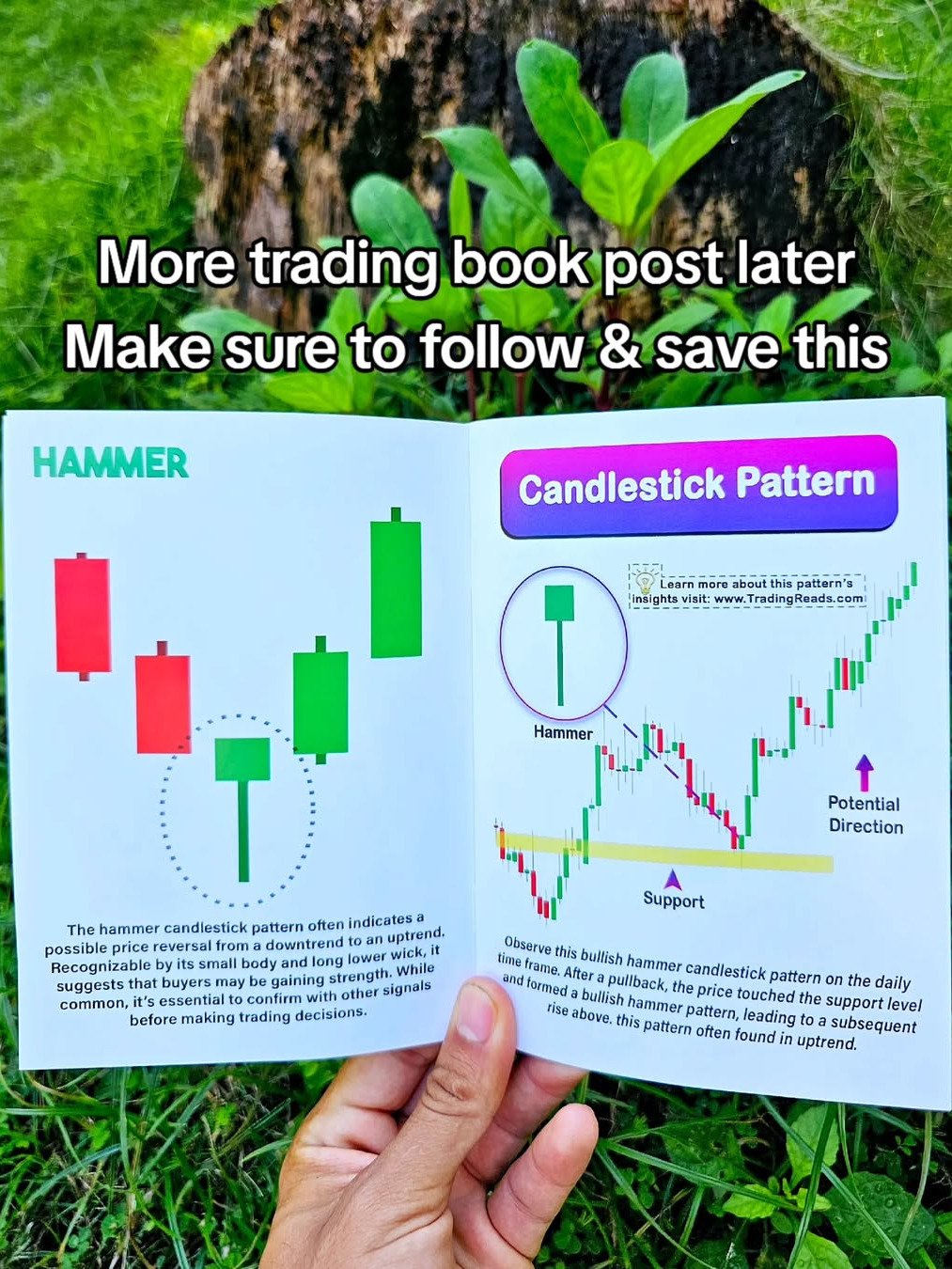 Advance Trading Patterns and Smart Trading product image (4)