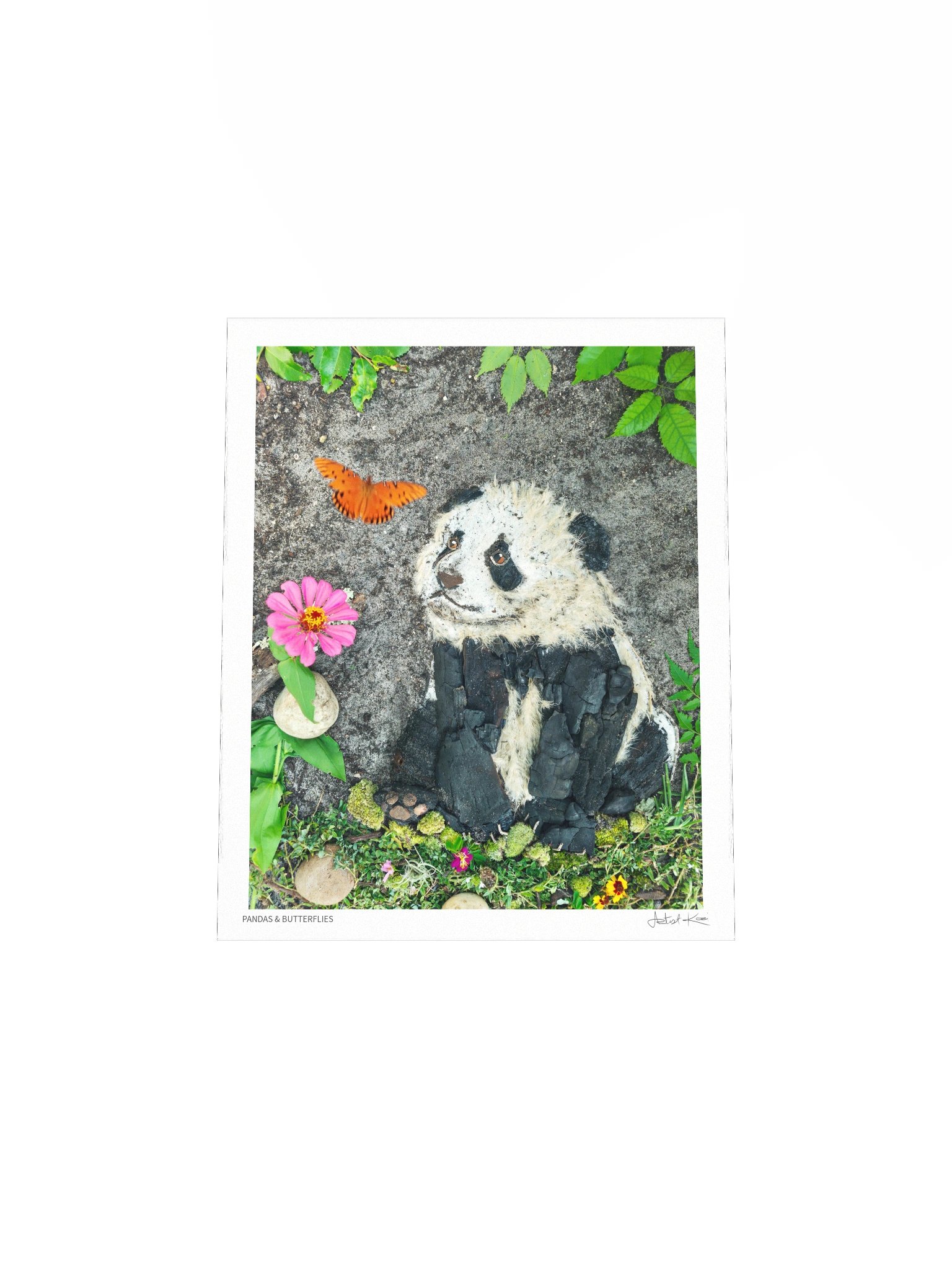 PANDAS & BUTTERFLIES | Fine Art Print product image (7)