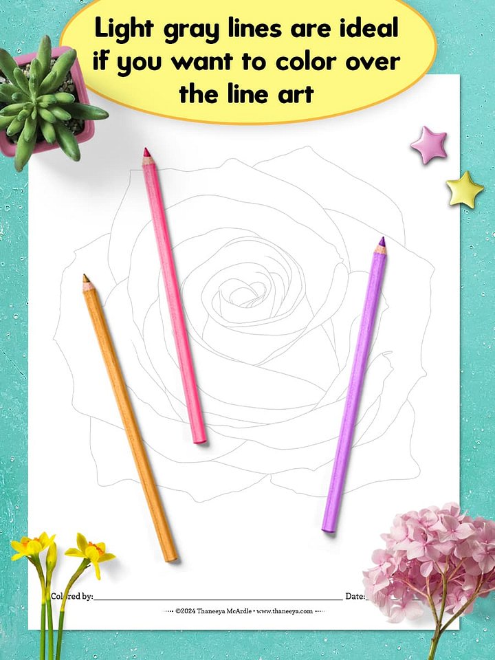 Rose - Single Coloring Page product image (2)