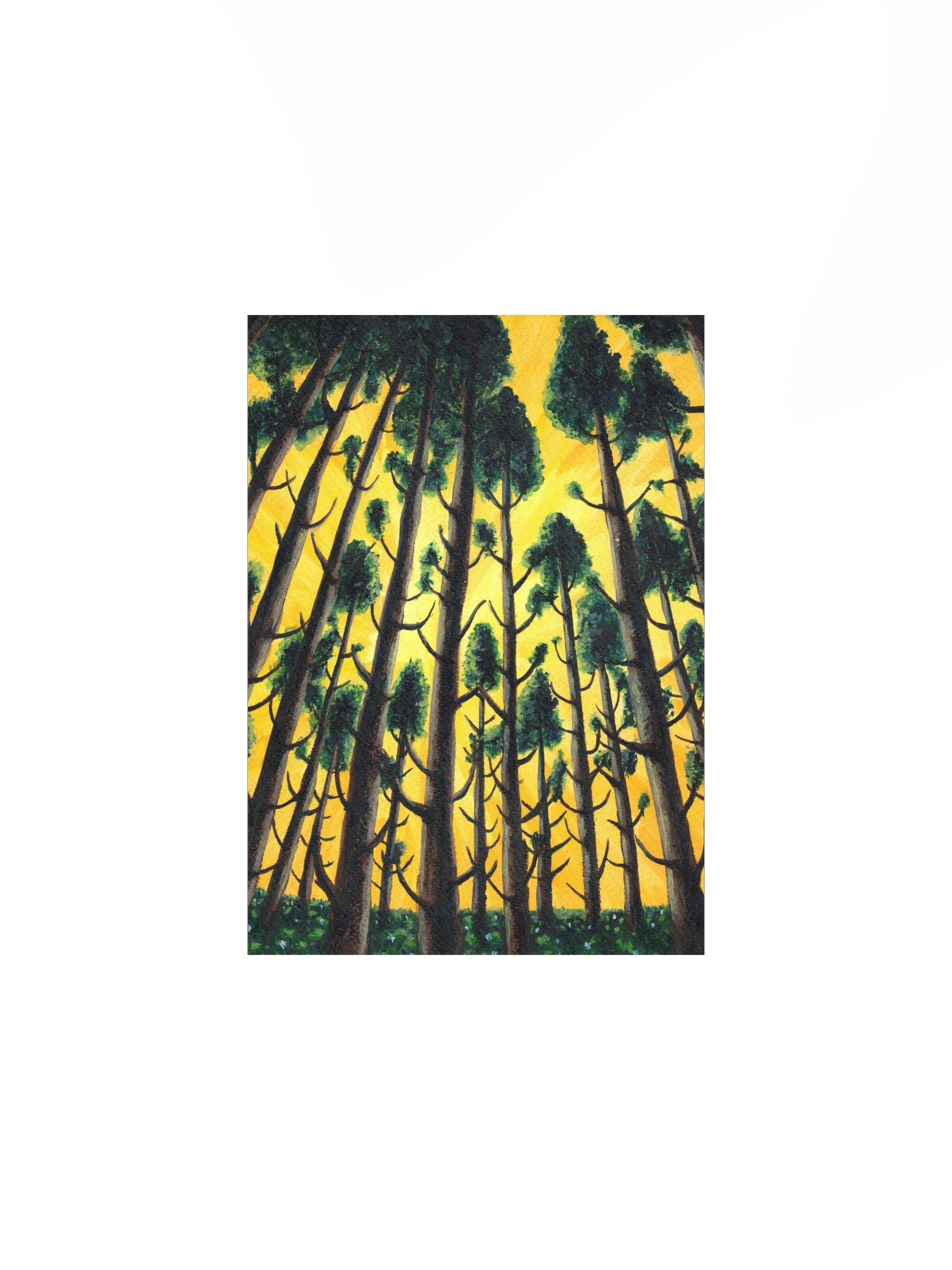 The Cedar Grove Poster product image (1)