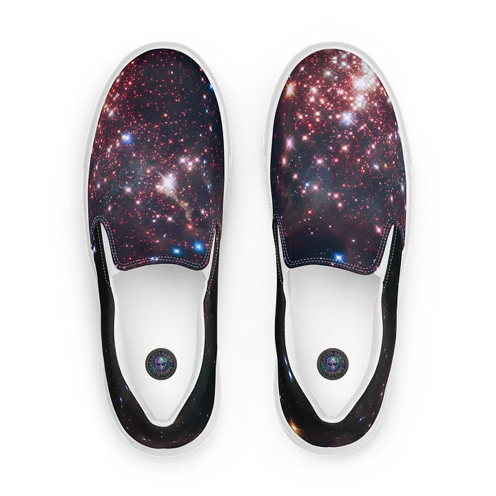 Westerlund 2 Canvas Slip-On's product image (1)