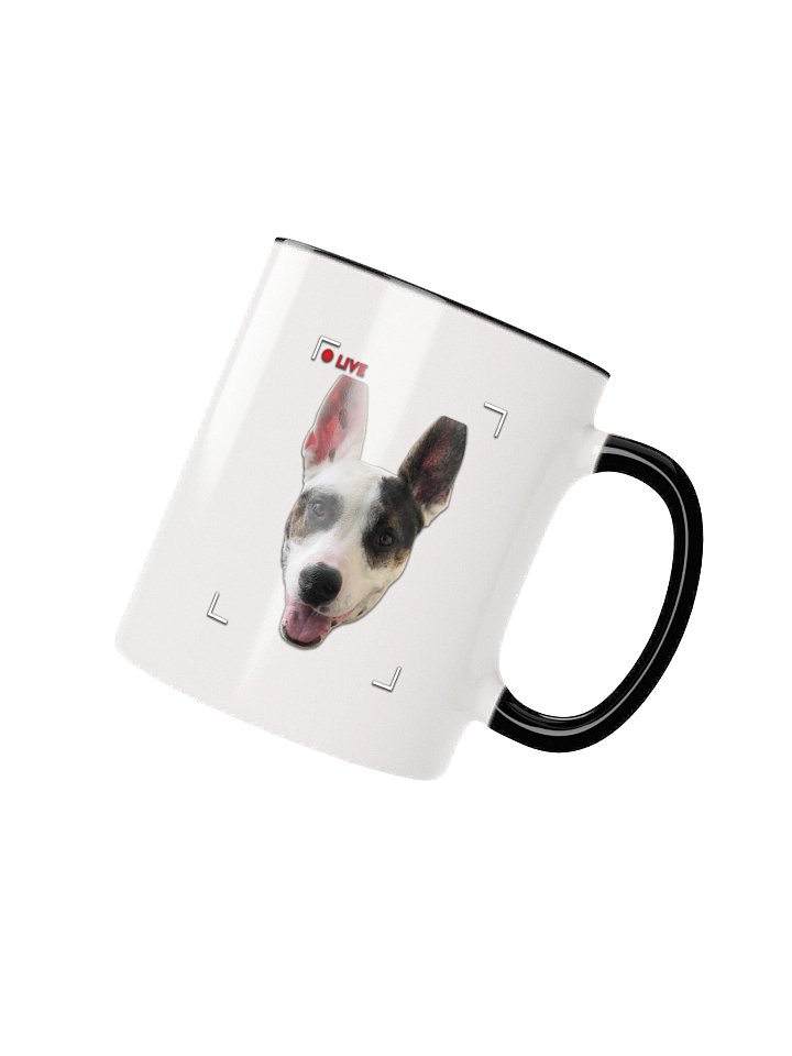 Sagey Mug product image (24)