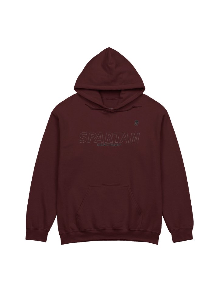 LEGION Hoodie - Maroon product image (1)