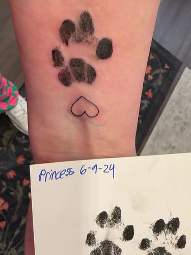Two years ago this month, I lost my best friend.
I bottle fed her. We grew up together. We were completely inseparable for 15...