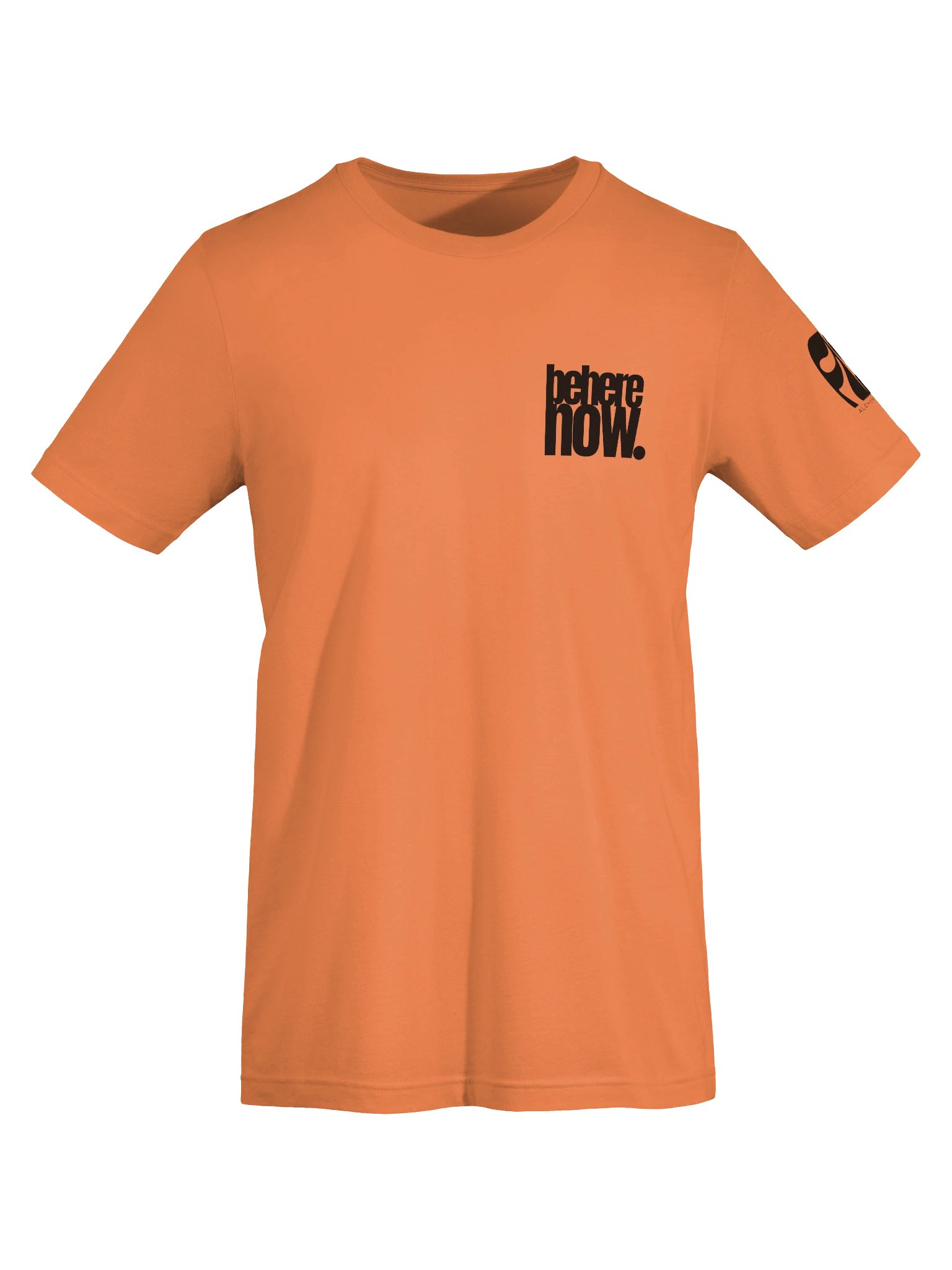 BE HERE NOW // The Present State Tee product image (25)