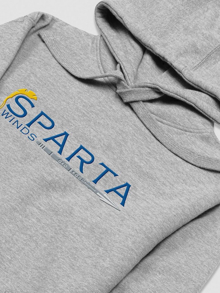 SW Embroidered Hoodie product image (1)