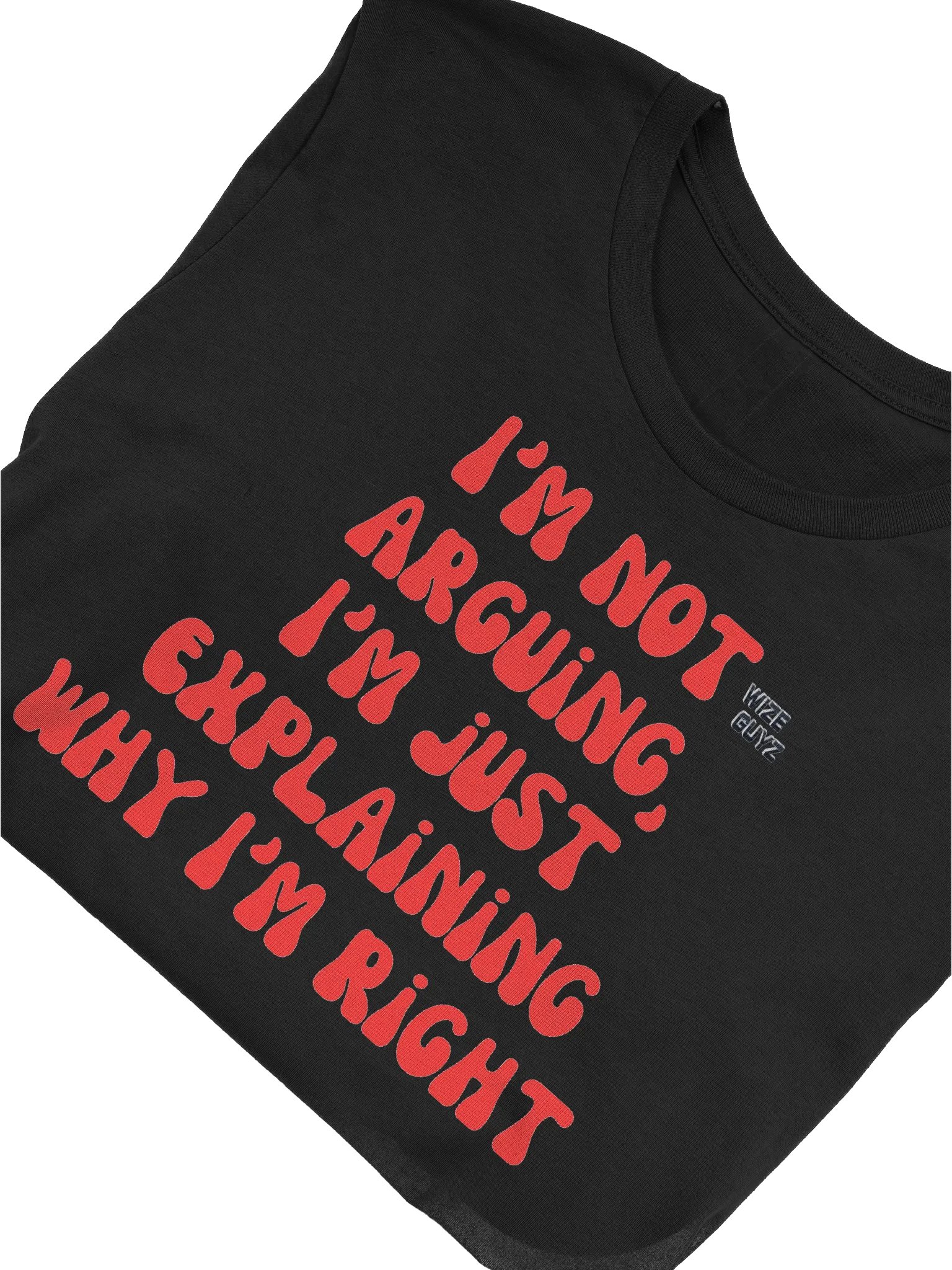 I'm Not Arguing Unisex Comfort Tee product image (5)