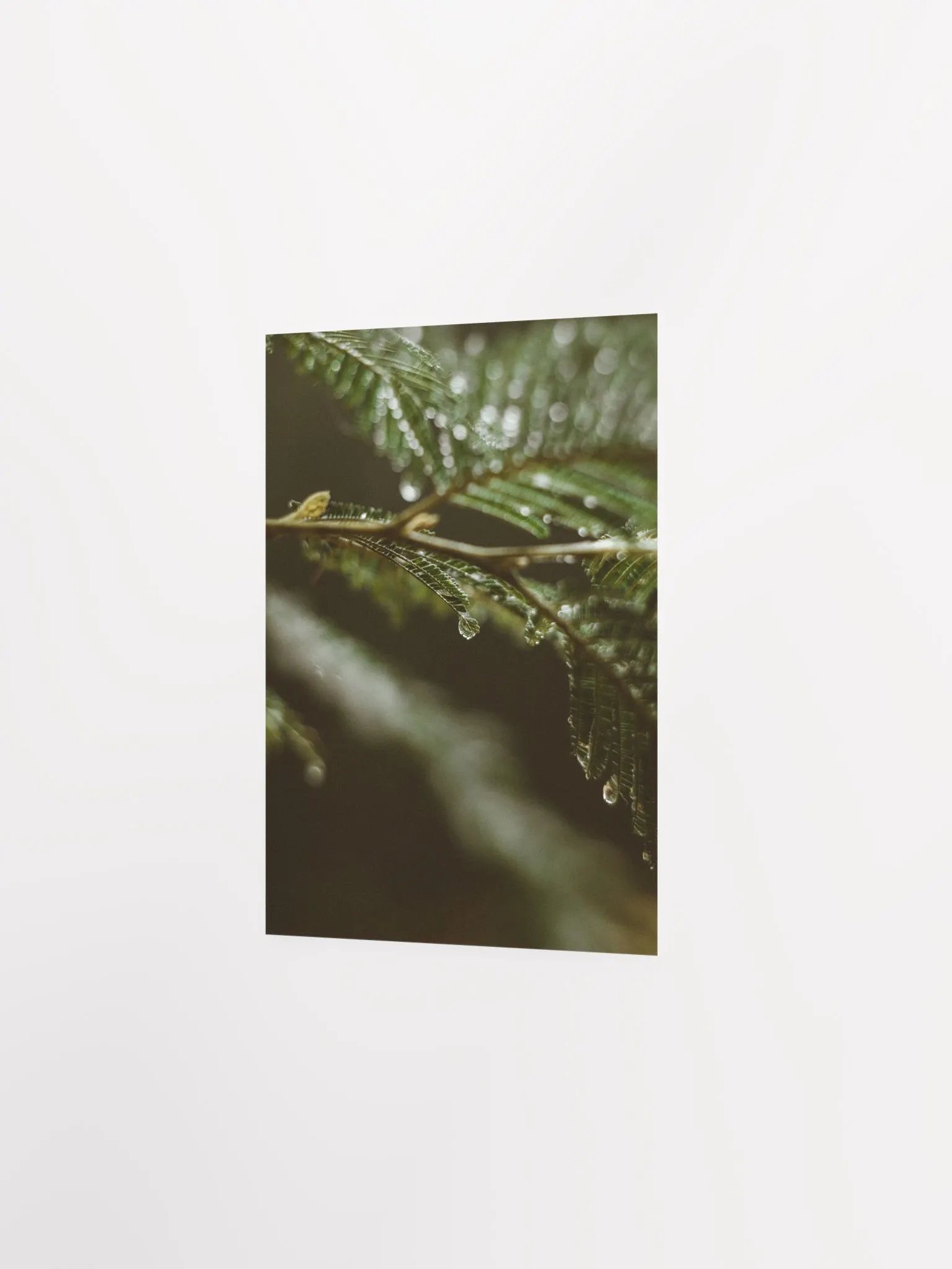 Vintage Drop product image (5)