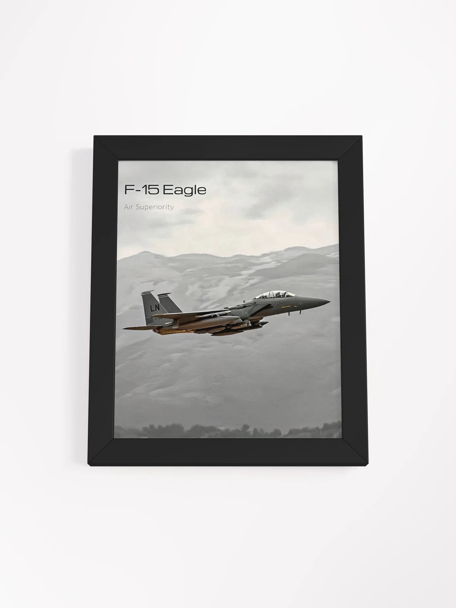 F-15 Eagle product image (1)