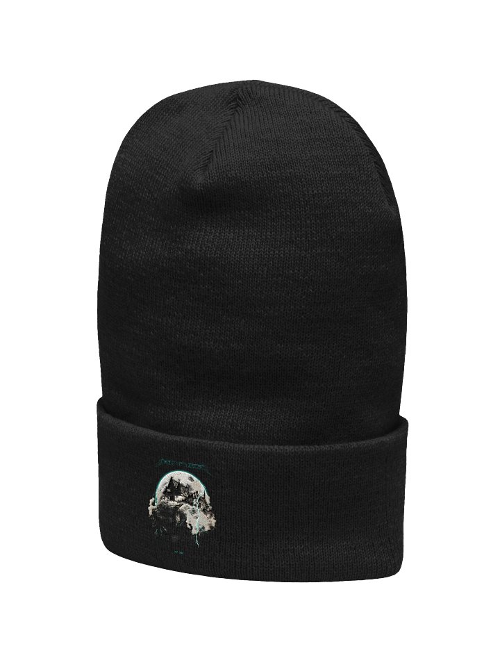 beenie hat product image (2)